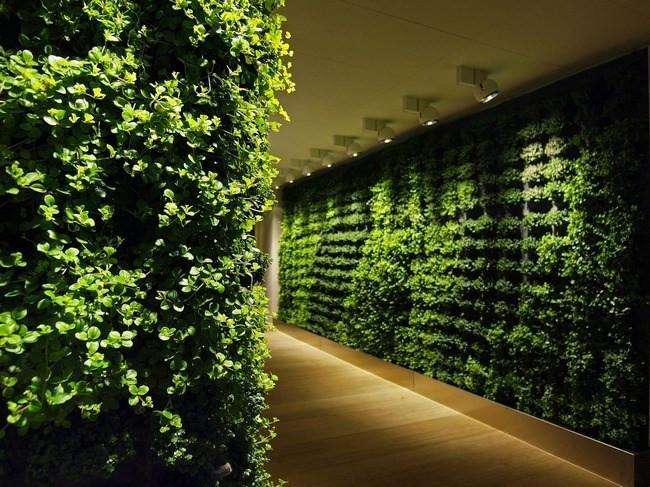 仿真植物墙的特点是什么